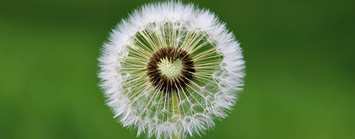 MBSR-Achtskeitstraining-Vertiefungsgruppe-Meditation-online-Birgit-Hartmann-Pool-Hamburg